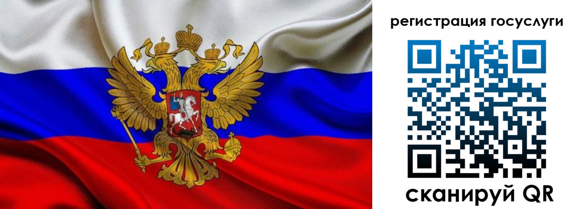 прописка гарантия в Кохме
